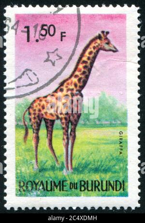 BURUNDI - VERS 1964 : timbre imprimé par le Burundi, montre la girafe, vers 1964 Banque D'Images