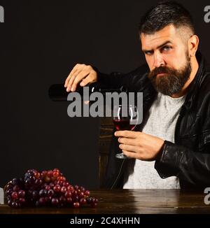 Un homme avec une barbe verse du vin dans un verre sur fond marron foncé. Le sommelier a le goût de boissons chères. Concept de dégustation de vins et de dégustation. Degustator avec visage sûr est assis par un bouquet de raisins sombres Banque D'Images