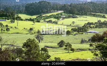 Pâturages ruraux fertiles Murrah NSW Australie Banque D'Images