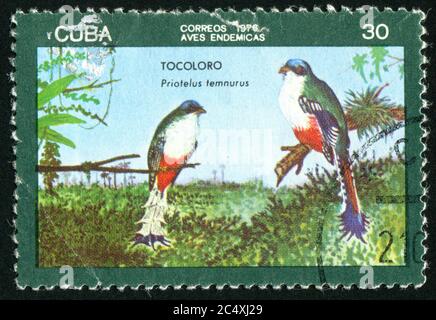 CUBA - VERS 1976 : timbre imprimé par Cuba, montre les oiseaux, vers 1976 Banque D'Images