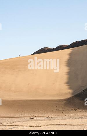 Homme vu d'une distance à pied sur une grande dune dans le désert péruvien. CASMA, Département d'Ancash, Pérou. Banque D'Images