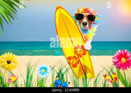 Image vacances d'été surfer Jack Russell chien avec surf et lunettes isolé sur fond blanc, papillons et palmiers Banque D'Images