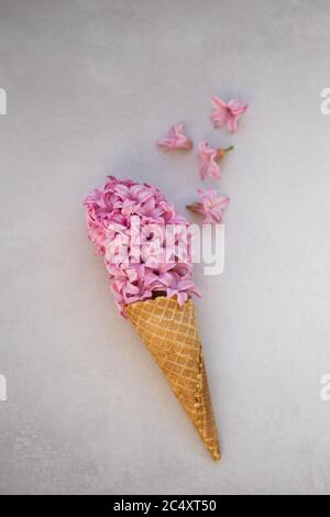 Image TopView du cône de crème glacée avec le jacinthus rose sur le plan d'examen gris clair. Banque D'Images