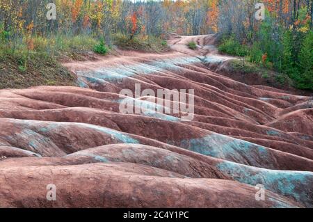 Le sol rouge des Badlands de Cheltenham, situé à Caledon, Ontario, Canada Banque D'Images