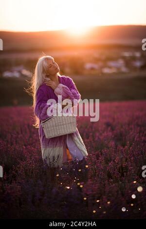 Belle femme blonde élégante 24-25 ans portant gilet tricoté élégant posant dans le champ de lavande cueillant des fleurs tenant panier de paille à l'extérieur. Banque D'Images