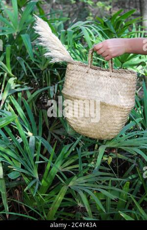 Fille tenant un panier avec des cônes et des feuilles par temps ensoleillé Banque D'Images