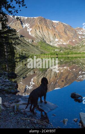 Le chien Gordon Setter de Parker Lake est niché dans un petit canyon dans les montagnes de l'est de la Sierra Nevada, éclipsé par les 12,000 pieds de pics Californie USA Banque D'Images