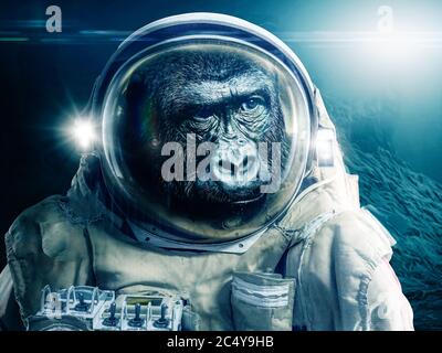 Monkey en costume d'astronaute explore une planète extraterrestre Banque D'Images