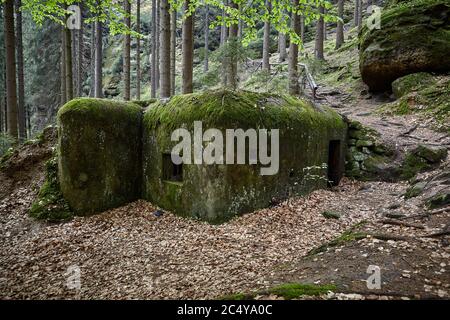 Bunker de la Seconde Guerre mondiale, bunker dans les bois. Installation défensive Banque D'Images