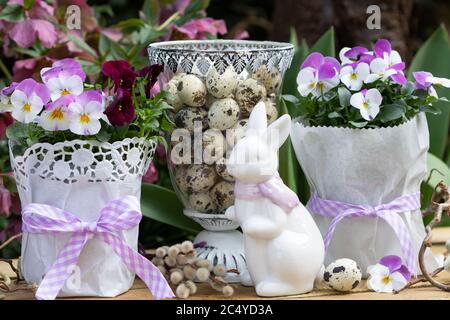 décoration de pâques avec lapin de pâques et fleurs de violons en blanc et violet Banque D'Images