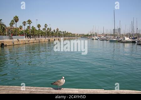 Promenade en bateau le long de la Rambla de Mar, à Port Vell qui est un port de front de mer et une partie du port de Barcelone, Catalogne, Espagne. Banque D'Images