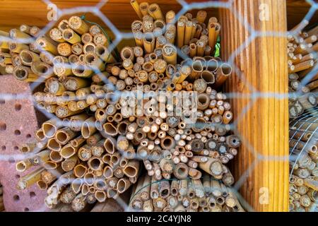 Hôtel d'insectes, aides à la nidification et à l'hivernage créées artificiellement pour insectes, en matériaux naturels, mailles métalliques pour la protection contre les oiseaux, Banque D'Images