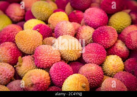 Litchi frais rouges et jaunes sur le marché, également connu sous le nom de lichee, litchee, ou lichi, Litchi chinensis fond naturel de nourriture. Banque D'Images