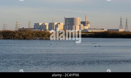 Dungeness Nuclear Power Station de la réserve RSPB, Kent, Angleterre Banque D'Images