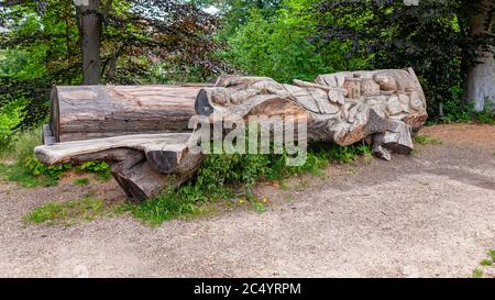 Stein, Limbourg Sud / pays-Bas. 21 juin 2020. Immense tronc d'arbre sculpté de formes différentes : une libellule, un bever, des crocodiles et un château Banque D'Images