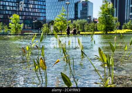 Milan, Italie, 06.29.2020: Lac artificiel clair de cristal avec réflexion dans le parc de la Bibliothèque des arbres, Parco Biblioteca degli Alberi Milano - BAM Banque D'Images