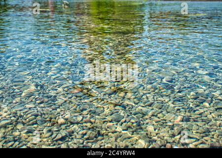 Lac artificiel clair de cristal avec réflexion dans le parc de la Bibliothèque des arbres, Parco Biblioteca degli Alberi Milano - BAM Banque D'Images