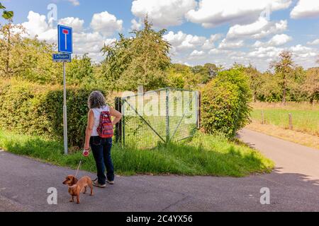 Femme mature avec un sac à dos avec son chien debout sur une rue rurale regardant un panneau indiquant: Cette route est une impasse, abondante végétation Banque D'Images