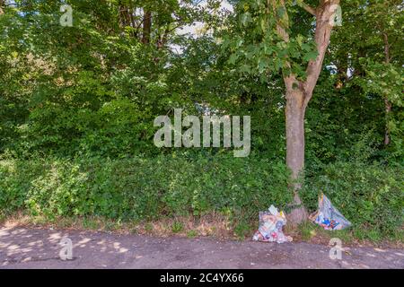 Stein, Limbourg Sud / pays-Bas. 21 juin 2020. Sacs en plastique avec détritus à côté d'un tronc d'arbre entouré de végétation verte dans un parking Banque D'Images