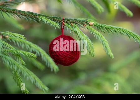 Fond de Noël avec des boules de fil. Boule de laine rouge accrochée aux branches vertes d'un arbre de Noël. Affiche horizontale avec espace de copie. La conce Banque D'Images