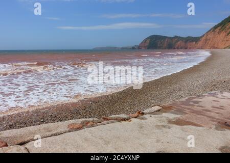 Plage d'échelle de Jacob, Sidmouth East Devon, Angleterre, Royaume-Uni Banque D'Images