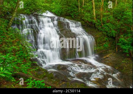 Merry Falls dans la forêt récréative de DuPont, Caroline du Nord. Banque D'Images