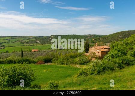 Paysage toscan vallonné près de Pienza dans le Val d'Orcia en Toscane, Italie. Banque D'Images