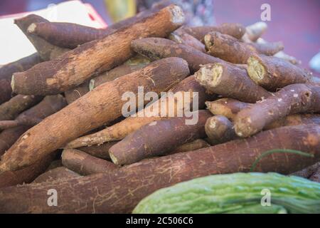 Une pile de racines de manioc (Manihot esculenta), une source majeure de glucides, présentée pour la vente sur un stand. Banque D'Images