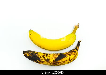 Deux bananes côte à côte sur fond blanc. L'un est mûr et l'autre pourri. Personne. Espace pour la copie ci-dessus. Banque D'Images