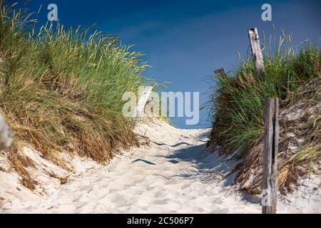 Mer Baltique, Allemagne, Mecklembourg-Poméranie occidentale, Darß, Prerow, bord de mer Banque D'Images