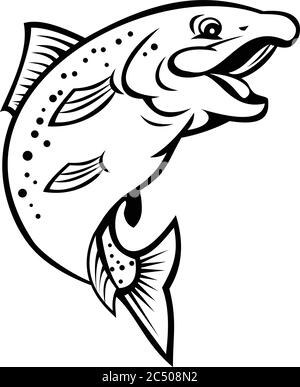 Illustration de style caricature d'une truite arc-en-ciel heureuse ou d'un poisson de saumon sautant sur fond blanc isolé en noir et blanc. Illustration de Vecteur