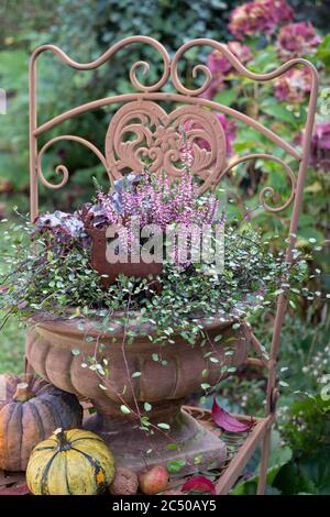 vase de plante décoré avec rouille cher et fleurs d'automne Banque D'Images