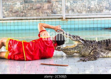 Spectacle de crocodiles à Pattaya, Thaïlande en été Banque D'Images