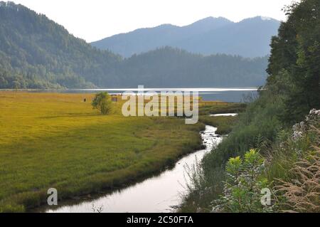 Paysage paisible avec forêt et collines au lac de baignade et réserve naturelle Weitsee, alpes bavaroises, près de Ruhpolding, Allemagne Banque D'Images