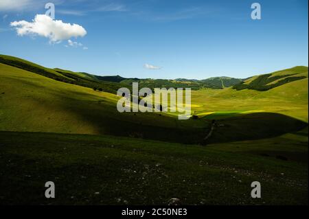 Le début de la floraison autour de Castelluccio di Norcia (juin 2020) : champs de couleur somptueuse, avec des coquelicots rouges, du colza jaune et d'autres fleurs. Banque D'Images