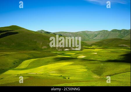 Le début de la floraison autour de Castelluccio di Norcia (juin 2020) : champs de couleur somptueuse, avec des coquelicots rouges, du colza jaune et d'autres fleurs. Banque D'Images