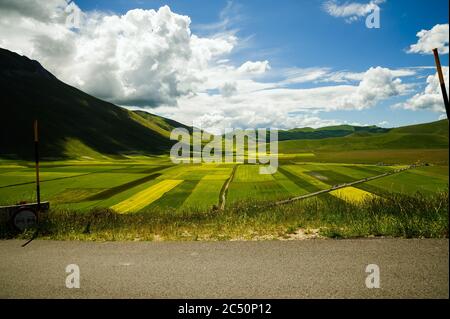 Le début de la floraison autour de Castelluccio di Norcia (juin 2020) : champs de couleur somptueuse, avec des coquelicots rouges, du colza jaune et d'autres fleurs. Banque D'Images