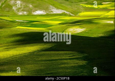 Le début de la floraison autour de Castelluccio di Norcia (juin 2020) : champs de couleur somptueuse, avec des coquelicots rouges, du colza jaune et d'autres fleurs. Banque D'Images