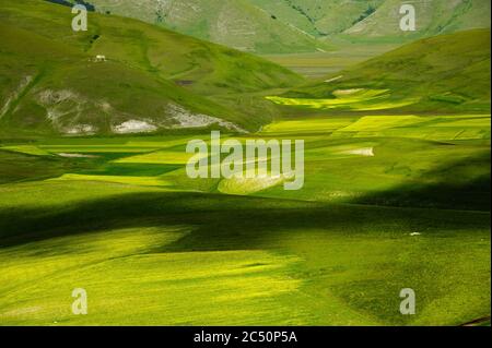 Le début de la floraison autour de Castelluccio di Norcia (juin 2020) : champs de couleur somptueuse, avec des coquelicots rouges, du colza jaune et d'autres fleurs. Banque D'Images