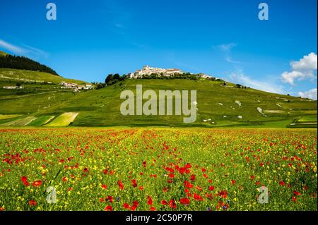 Castelluccio di Norcia, petite ville parmi les montagnes de Sibillini, presque complètement détruite après le tremblement de terre, pendant la floraison des champs (juin 2020). Banque D'Images