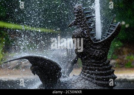 25 juin 2020, Saxe-Anhalt, Ballenstedt: Le dragon dans le grand bassin d'eau du jardin du château de Ballenstedt fait jailler une fontaine d'eau. Le jardin du palais est l'un des plus importants jardins de Saxe-Anhalt et couvre 29 hectares. Le jardin date du prince Friedrich Albrecht d'Anhalt-Bernburg, qui fit de Ballenstedt sa résidence en 1765. Le château et le parc du château de Ballenstedt font partie du réseau « Garden Dreams - Historical Parks in Saxe-Anhalt », qui souhaitait célébrer son 20e anniversaire cette année. Il comprend 43 des plus beaux et des plus importants jardins de l'État. À payer à l'échéance de la Banque D'Images