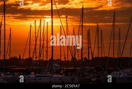 Stralsund, Allemagne. 30 juin 2020. Le soleil se lève derrière les mâts des voiliers dans le port de la ville de Stralsund entre le continent et l'île de Rügen. Credit: Jens Büttner/dpa-Zentralbild/dpa/Alay Live News Banque D'Images