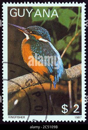 GUYANA - VERS 1988: Un timbre imprimé au Guyana de la publication 'faune et flore - oiseaux, champignons, chats et cactus ' montre Kingfisher (Alcedo atthis) Banque D'Images