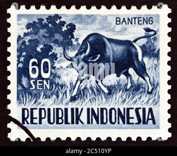 INDONÉSIE - VERS 1956 : un timbre imprimé en Indonésie montre Bos banteng, vers 1956. Banque D'Images