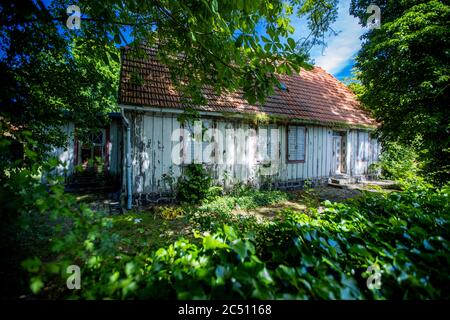 Zingst, Allemagne. 24 juin 2020. Une ancienne maison en bois vide sur un terrain surcultivé. Credit: Jens Büttner/dpa-Zentralbild/ZB/dpa/Alay Live News Banque D'Images