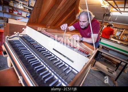 22 juin 2020, Mecklembourg-Poméranie occidentale, Rostock: Le fabricant d'instruments Johann-Gottfried Schmidt travaille sur une réplique d'un clavecin après Michael Mietke de 1710 du Palais Berlin-Charlottenburg dans l'atelier "instruments historiques de clavier - Johann-Gottfried Schmidt". Fondée en 2003, la société est principalement active dans la construction d'instruments de musique et emploie trois personnes. Dans la petite entreprise, les instruments tels que la poitrine et les petits organes, les clavecins, les spinettes, les virginals et les clavicordes écoles de construction allemandes et italiennes sont faits comme des pièces uniques. P Banque D'Images