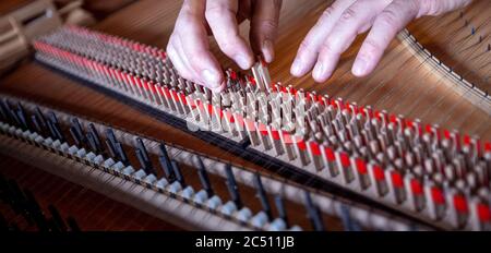 22 juin 2020, Mecklembourg-Poméranie occidentale, Rostock: Le fabricant d'instruments Johann-Gottfried Schmidt utilise le Springer dans l'atelier "instruments historiques de clavier - Johann-Gottfried Schmidt" pour reconstruire un clavecin. L'instrument a été construit selon les plans de Michael Mietke, qui l'a construit en 1710 pour le palais Berlin-Charlottenburg. Fondée en 2003, la société est principalement active dans la construction d'instruments de musique et emploie trois personnes. En petite compagnie, des instruments tels que le thorax et les petits organes, les clavecins, les spinettes, les virginale et les clavicordes du germe Banque D'Images