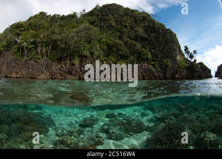 Île avec corail sous l'eau, site de plongée de Potato point, île Fiabacet, Raja Ampat, Papouasie occidentale, Indonésie Banque D'Images