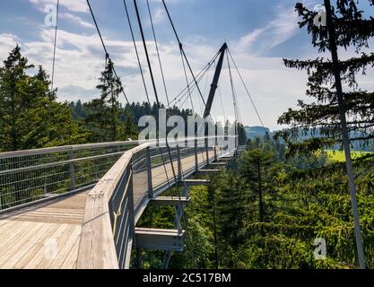Scheidegg, Bavière / Allemagne - 26 juin 2020 : vue sur le sentier et le sentier de la partie supérieure des arbres dans les collines du sud de la Bavière à Scheidegg Banque D'Images