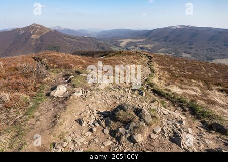 Vue de Połonina Wetlinska à l'abri 'Chatka Puchatka' (Puchatka Hut) à l'est. Montagnes de Bieszczady. Pologne Banque D'Images